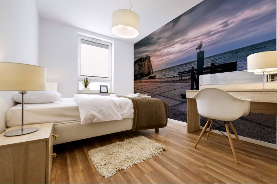 Seagull looking his Normandy Cliffs at Sunset Mural print