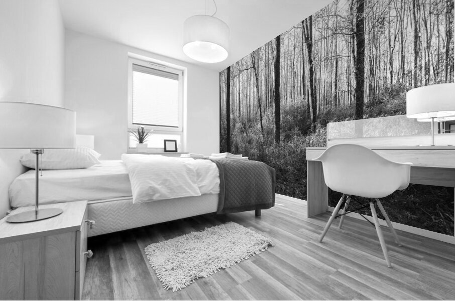 Meandering in the Frances Marion National Forest Mural print