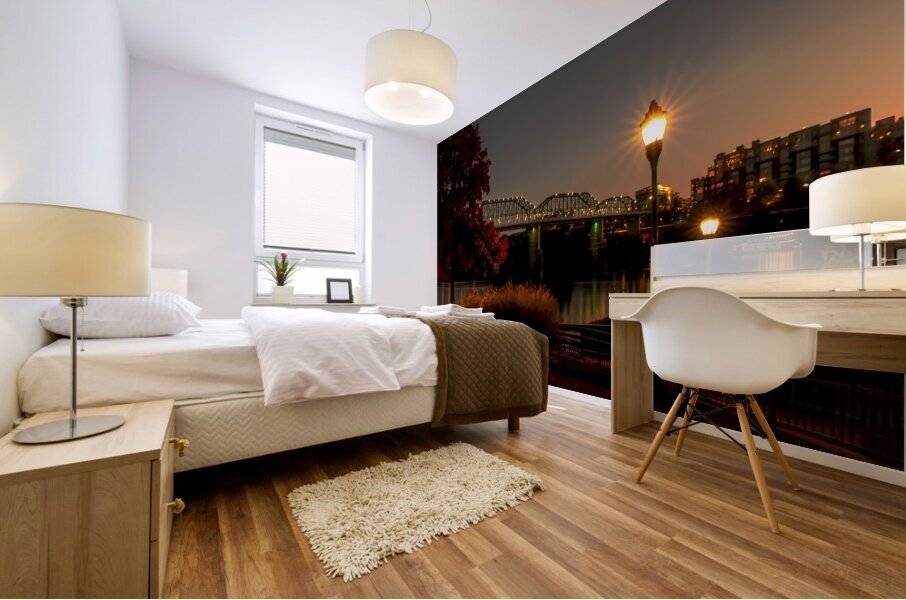 Chattanooga River Night Reflections Mural print