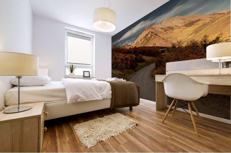 Colorado Backroads in Autumn Mural print