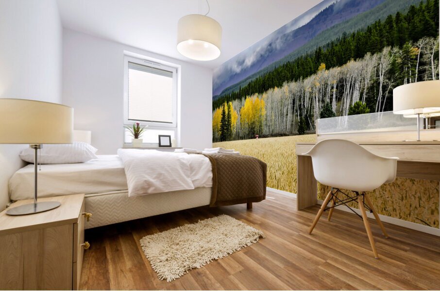 Teton Red Umbrella Mural print