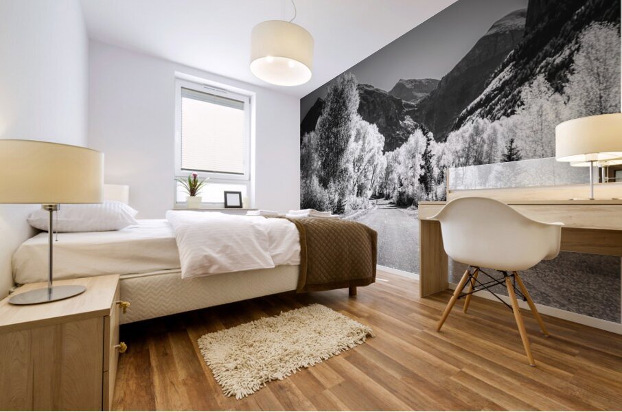 Aspen Backroad Mountain Runner Mural print