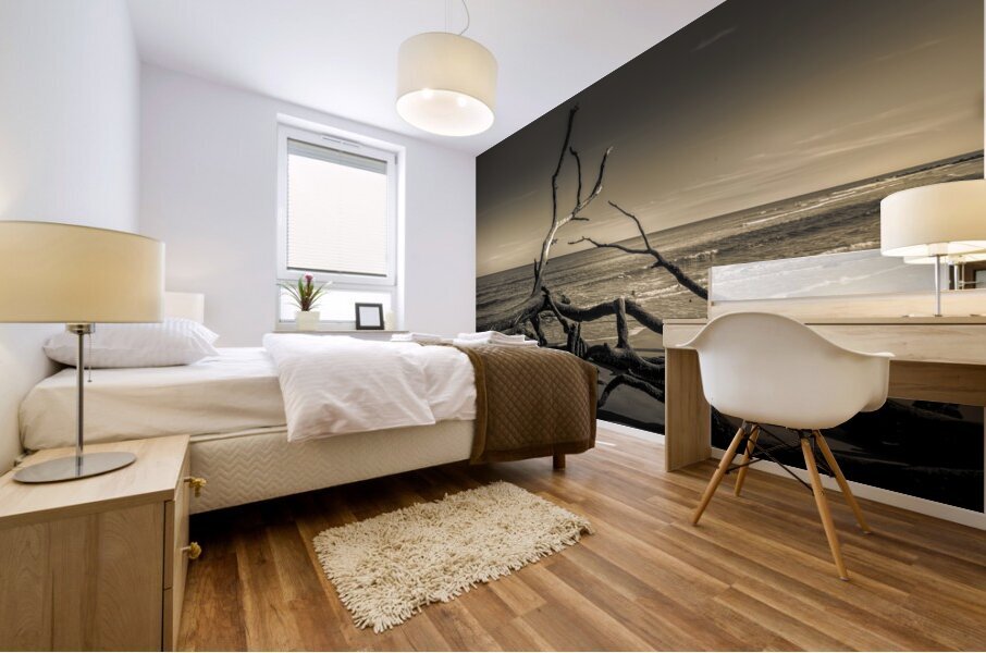 Hunting Island Beach Driftwood Shadows Mural print