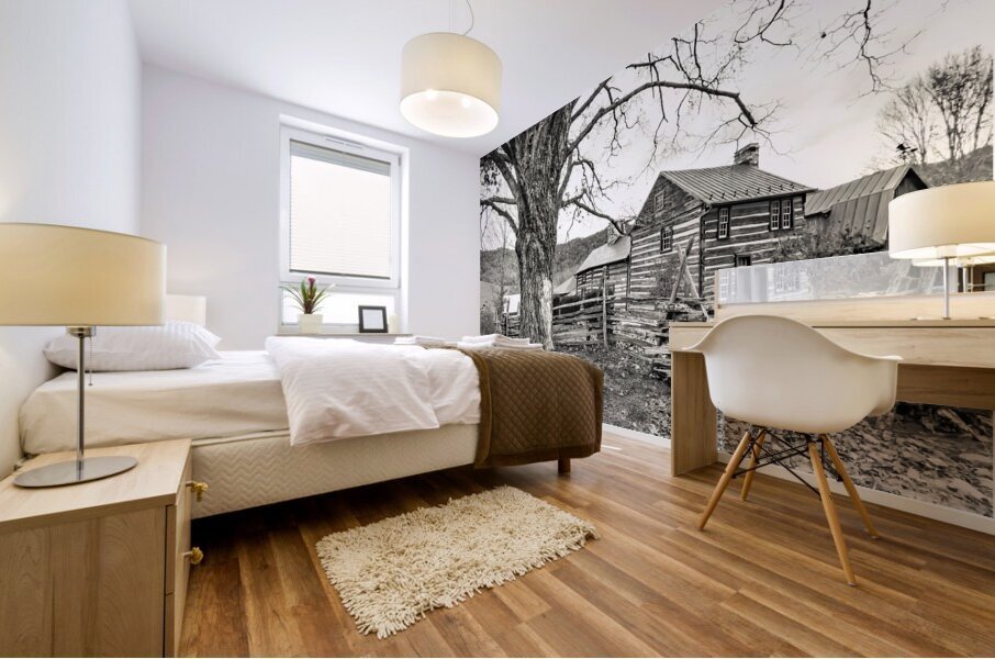 Homestead Sam Stead Antique Store  Mural print