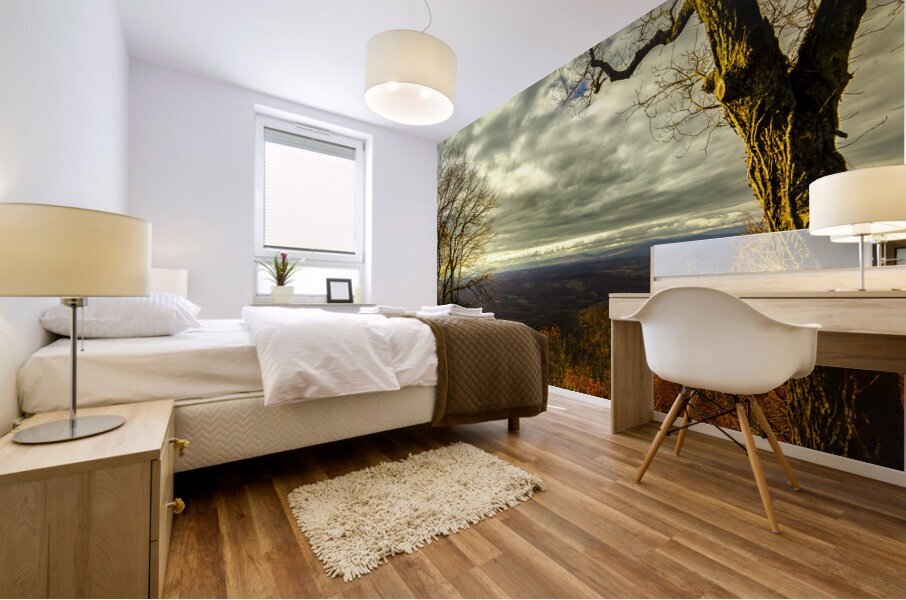 Blue Ridge Parkway Overlook Autumn Sunset Mural print