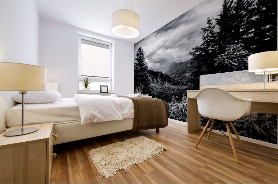 Tennessee Mountains Perfection in Black and white Mural print