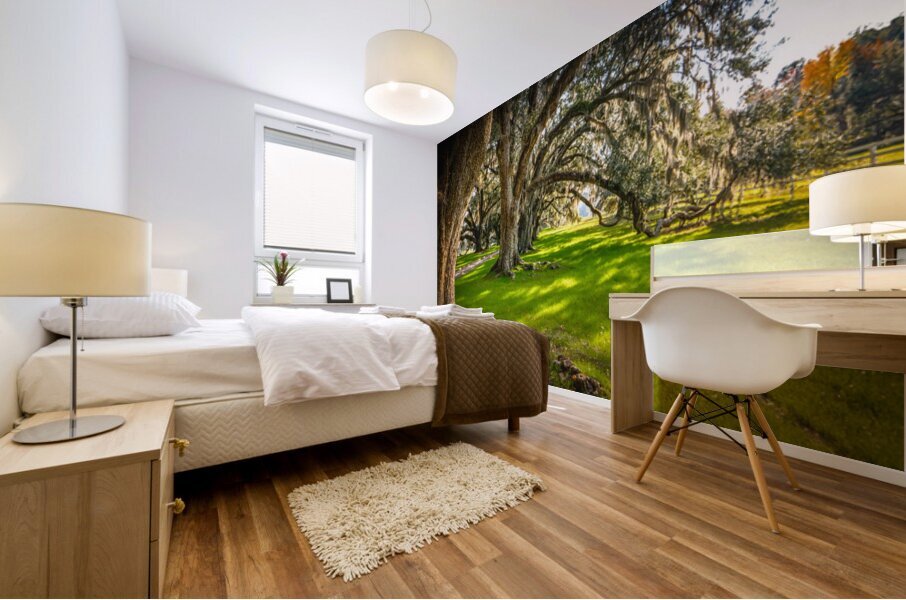 South Carolina Beaufort Live Oak Allee Mural print