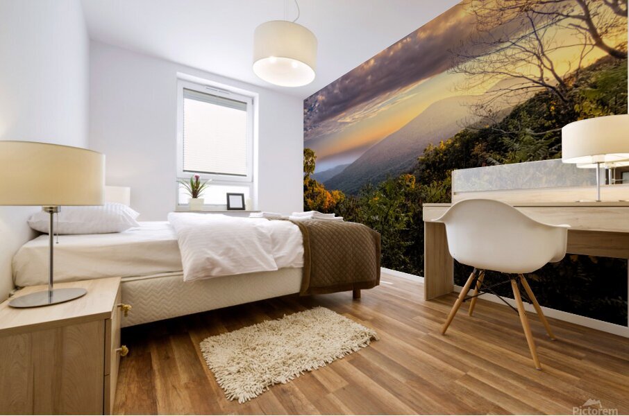 Virginia Blue Ridge Parkway Sunset Fog Mural print