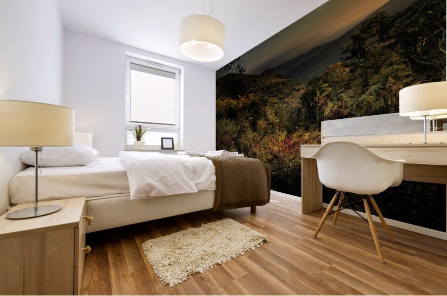 Blue Ridge Layers of Autumn Mural print