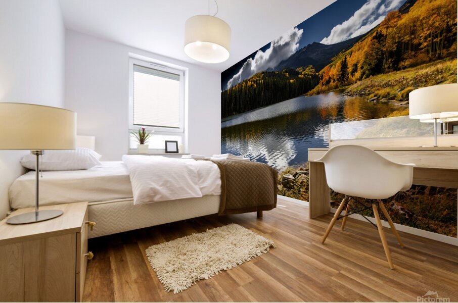 Aspen Heaven at Telluride Mural print