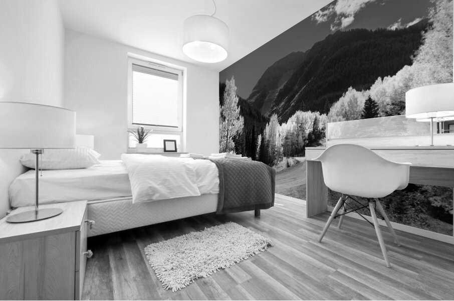 Colorado Back Roads Silhouette Mural print