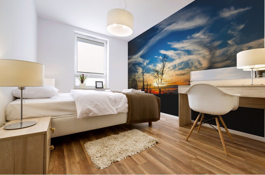 Road Trip to Charleston Sunset Mural print