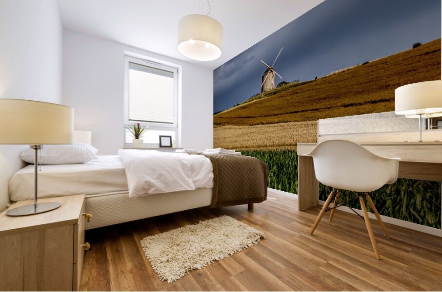 Mont Saint Michel Moulin de Moidrey Windmill  Mural print