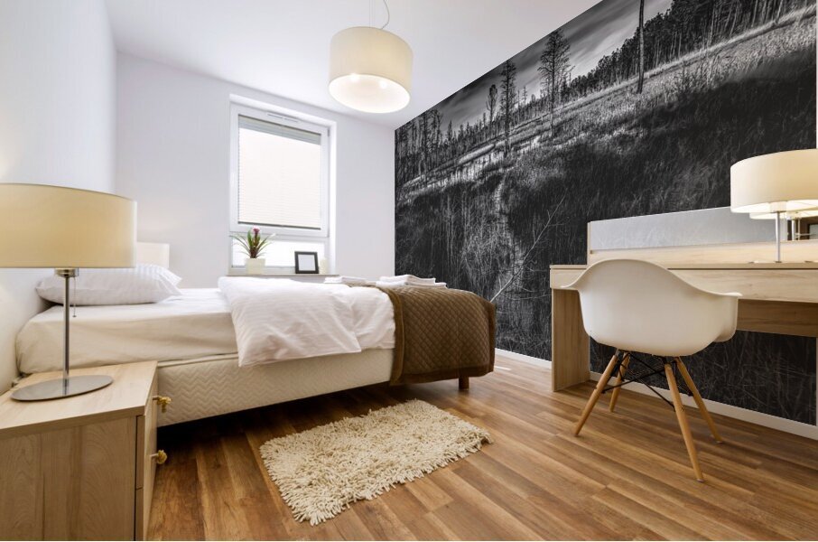 Pathway Through the Marsh Mural print