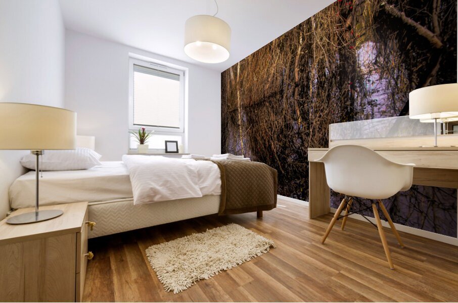 Marsh Colors of Winter Mural print