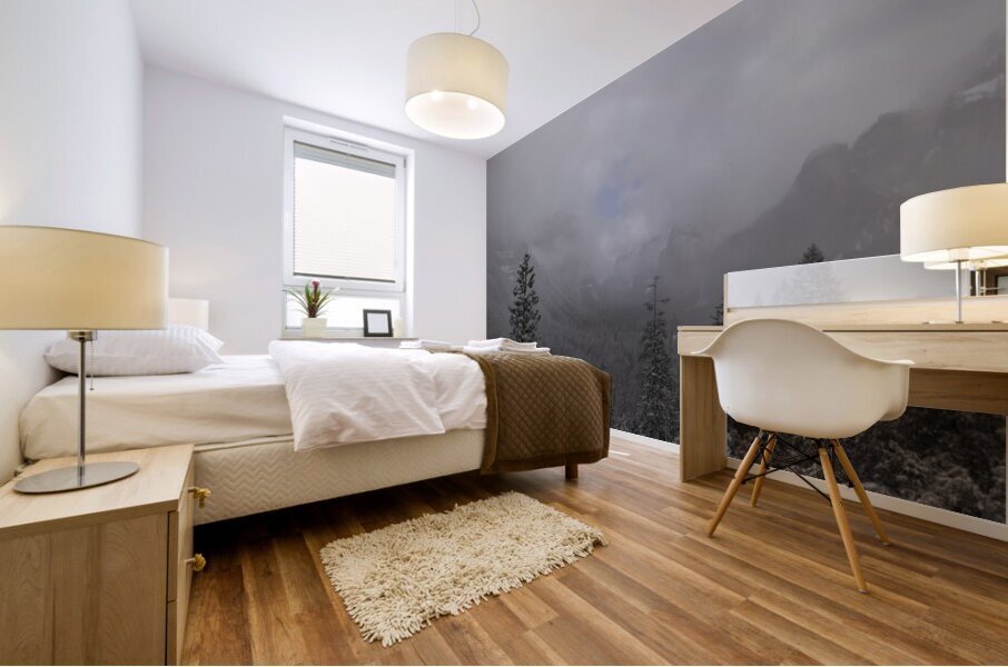 Foggy Yosemite in Winter Mural print