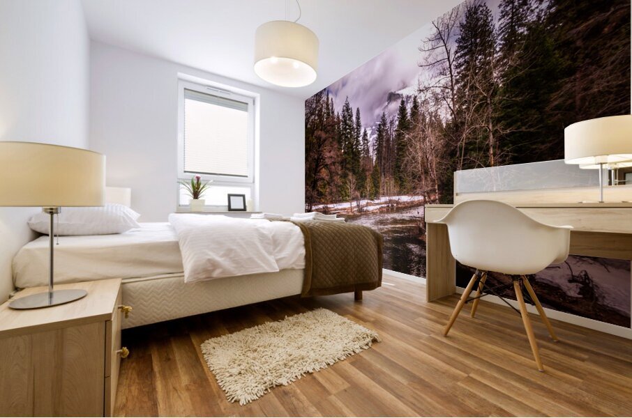 Up the Yosemite Merced River Valley Mural print