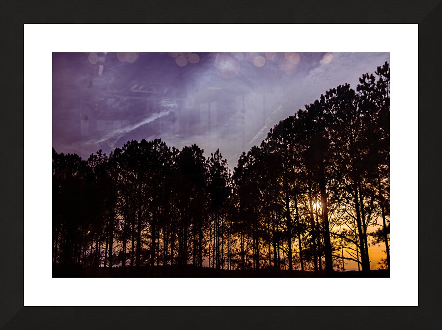 Peeking Through Trees Picture Frame print