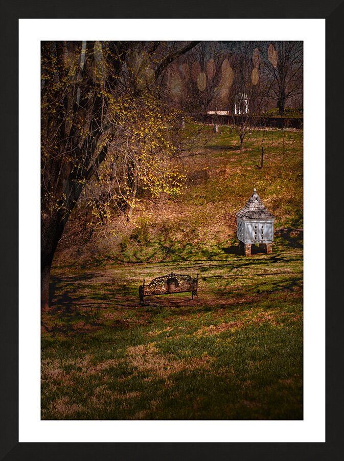 Old City Cemetery Bird House Picture Frame print