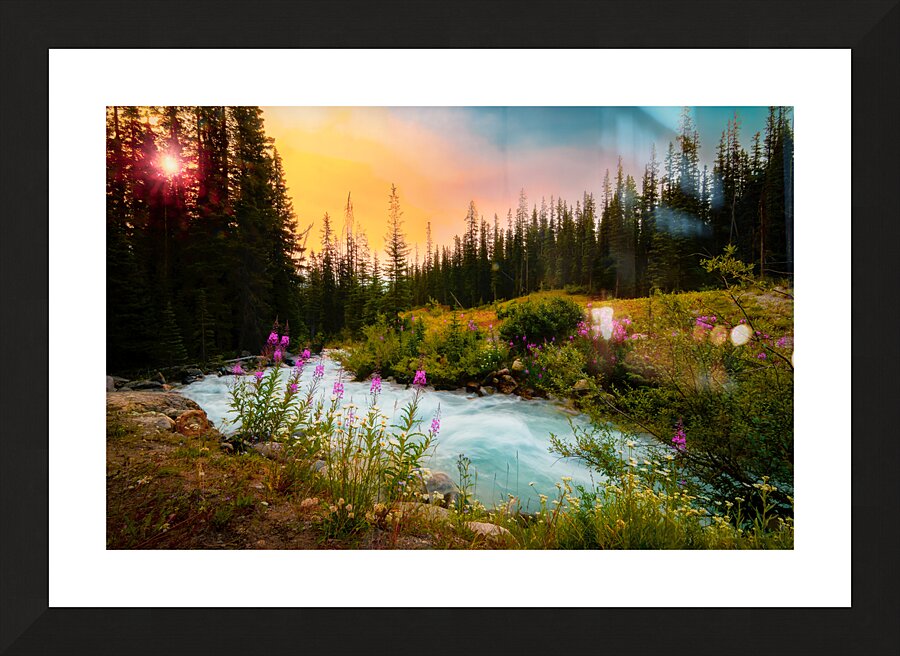 Lake Moraine Wildflowers Sunset Picture Frame print