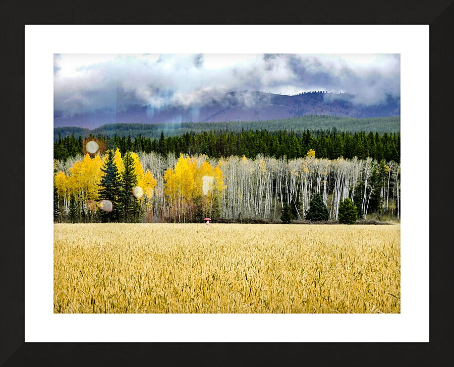 Teton Red Umbrella Picture Frame print