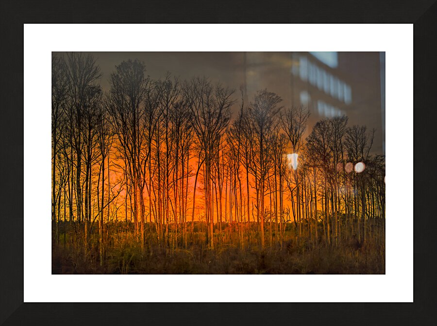 Georgia Forest Orange Sunset Silhouettes Picture Frame print