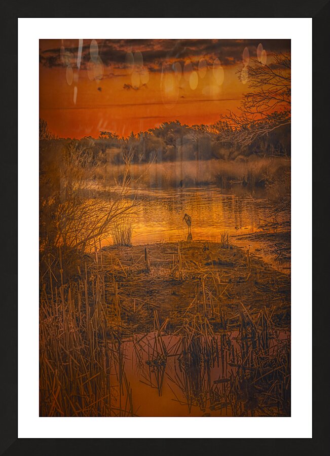 South Carolina Marsh Winter Sunrise Glow Picture Frame print