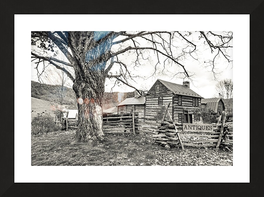 Homestead Sam Stead Antique Store  Picture Frame print