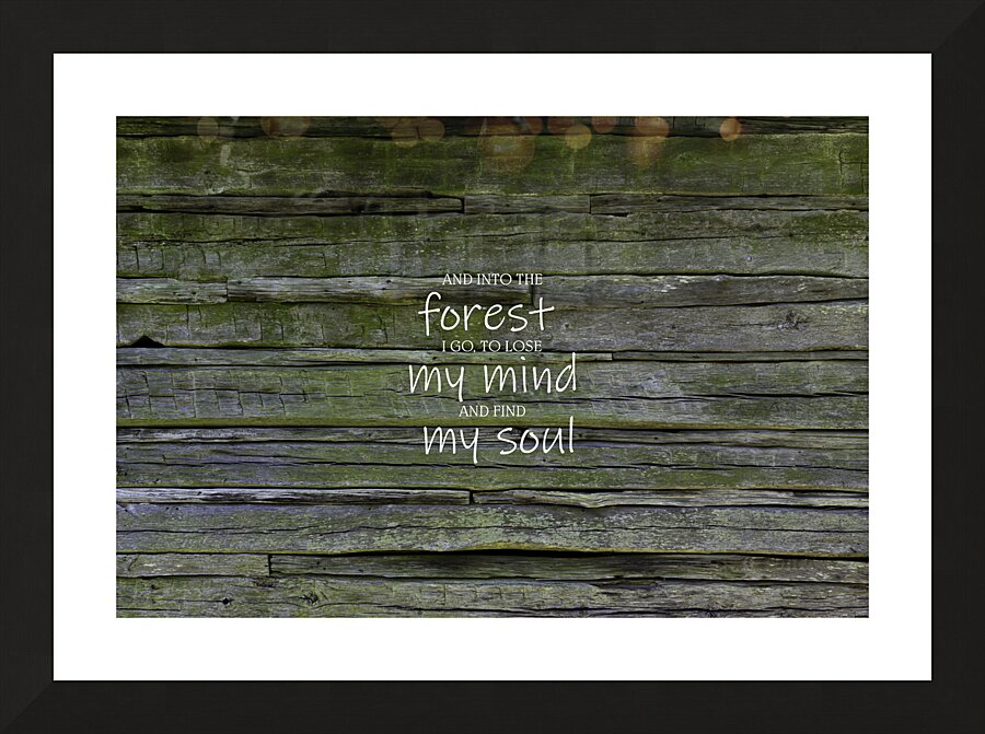 Into the Woods Muir Quote Picture Frame print