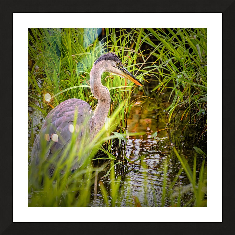 Breakfast at Peaks of Otter Picture Frame print