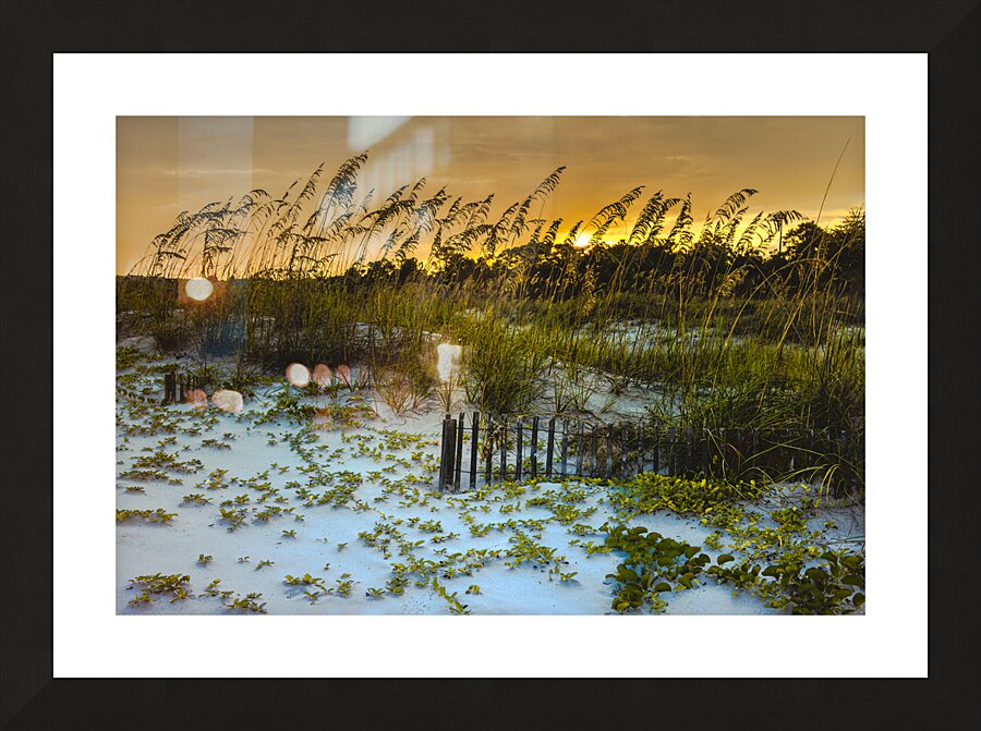 Autumn Sunset Dunes in Hilton Head Picture Frame print