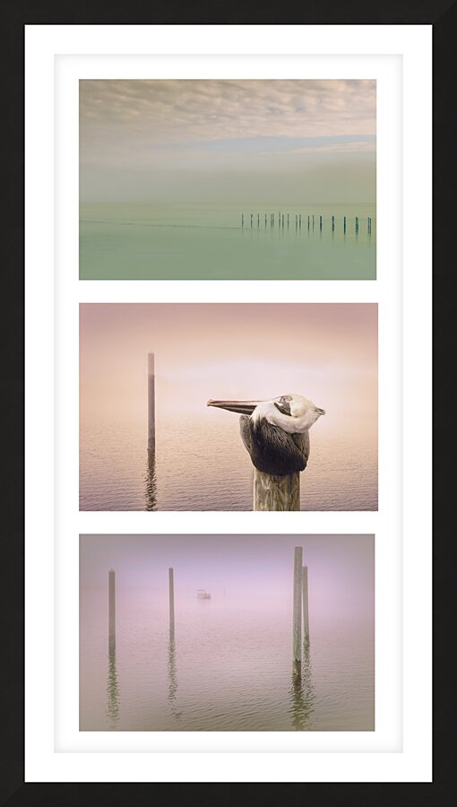 Pensacola Beach  Pelican Pilings Triptych Picture Frame print