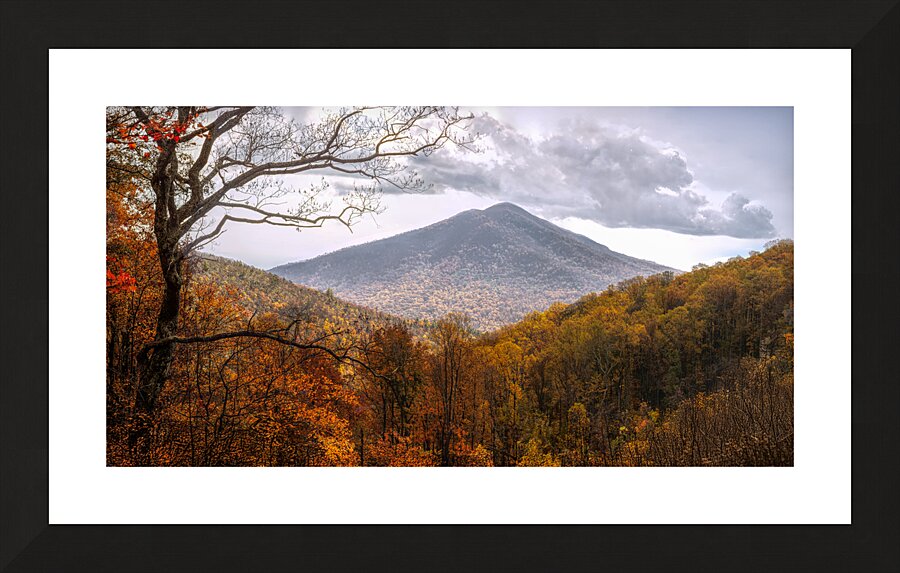 Golden Colors of Autumn Picture Frame print