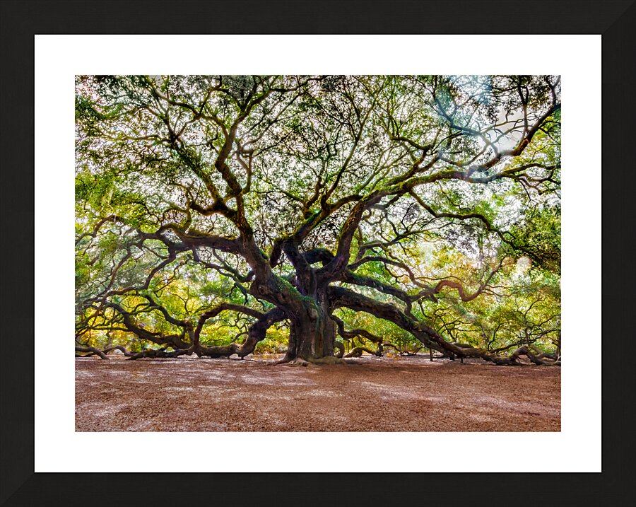 Spreading my Wings Picture Frame print