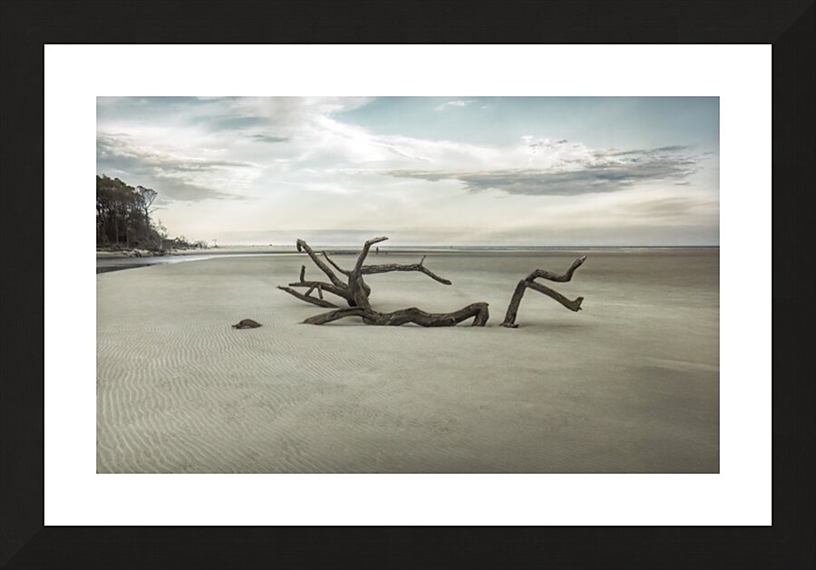 Beach Tree Relics Picture Frame print