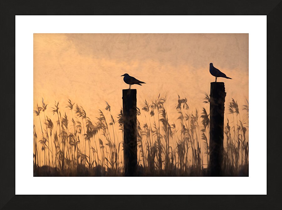 Lake Pontchartrain Seagulls Silhouette Perched on Piling Poles Picture Frame print