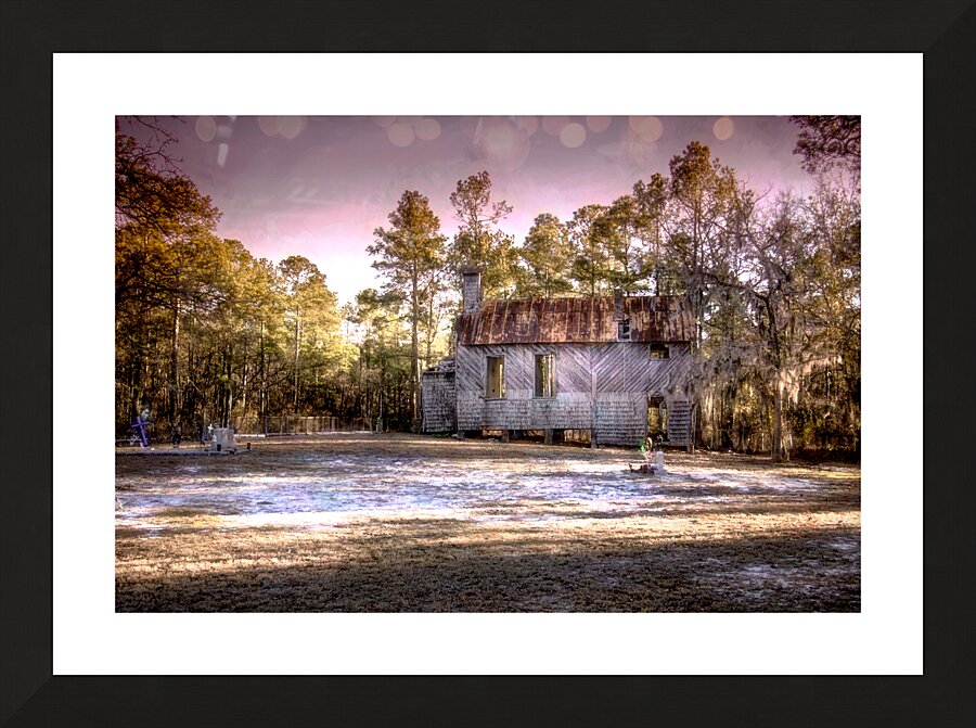 Story of an Old Francis Marion National Forest Church Picture Frame print