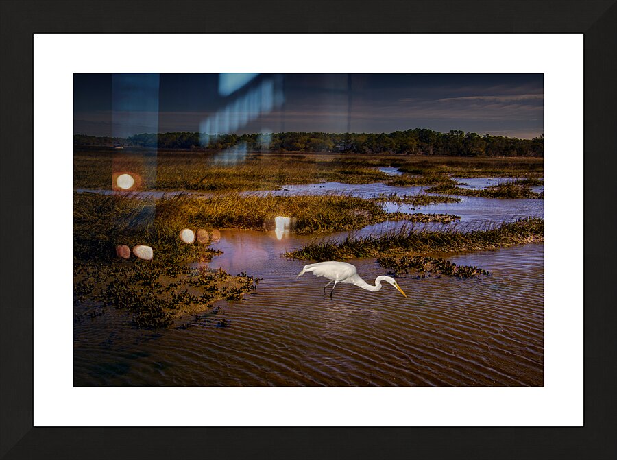South Carolina  Marsh Heron Sunrise Picture Frame print