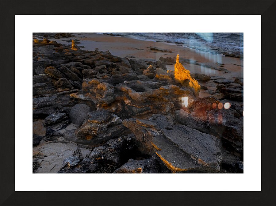 Washington Gardens Cochina  Sunset Picture Frame print