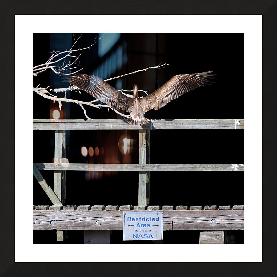 NASA Restricted Area Pelican Picture Frame print