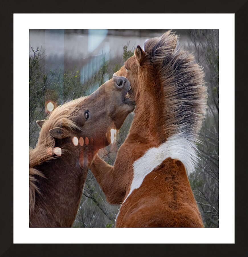  Nip of the Day Picture Frame print