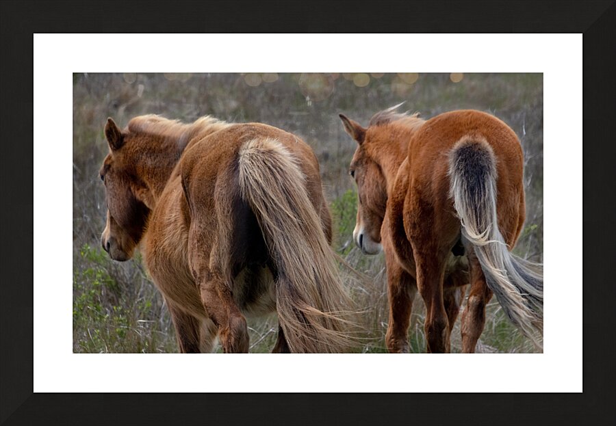 Paired Together Picture Frame print