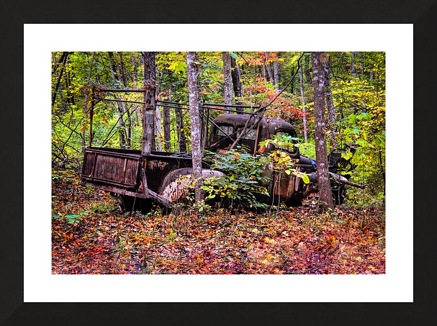 Wrong Way Home Picture Frame print