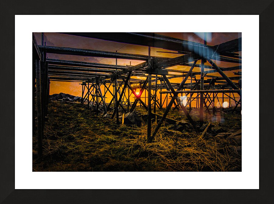 Lofoten Silhouette Cod Rack Sunbeams Picture Frame print