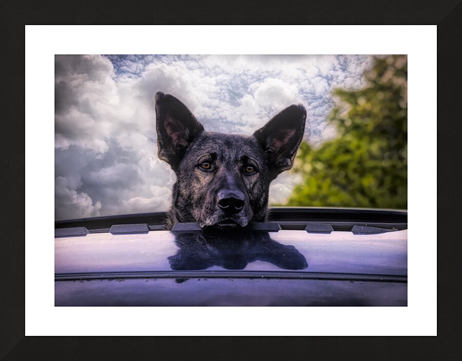 Along for the Ride Picture Frame print