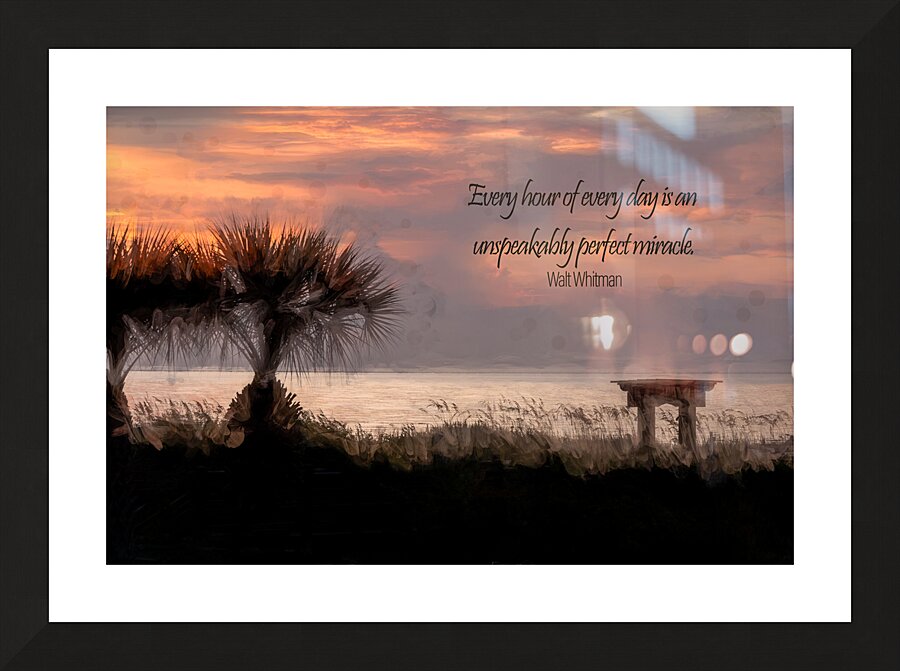 Every Day a Miracle Picture Frame print