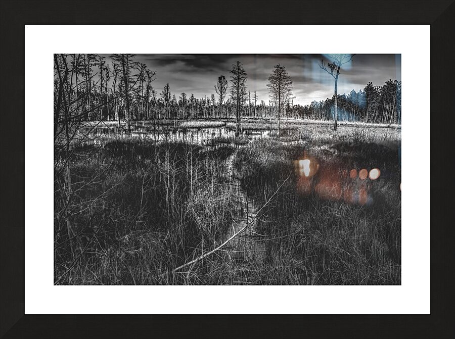 Pathway Through the Marsh Picture Frame print