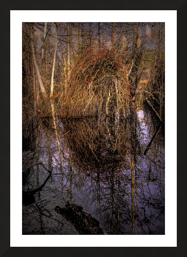Marsh Colors of Winter Picture Frame print