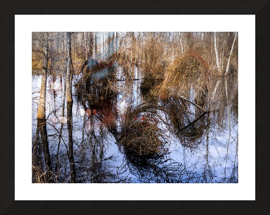 The Golden Triumvirate Picture Frame print