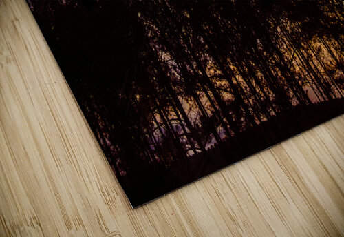 Peeking Through Trees Norma Brandsberg Photography puzzle